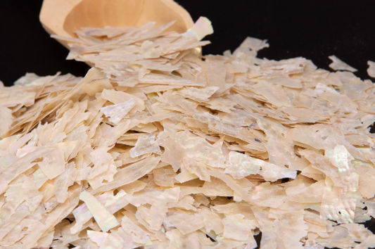 Japanese Abalone Shell Chips