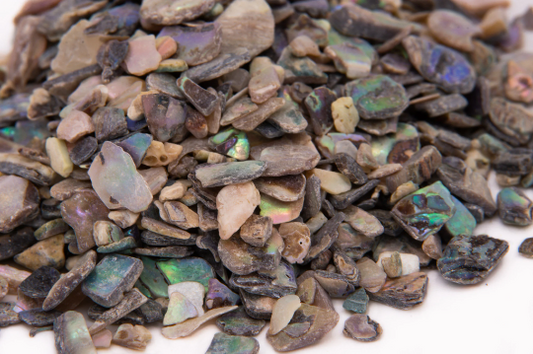 Abalone Shell Chips