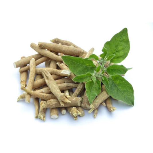 Ashwaganda Tincture — Dual Extracted