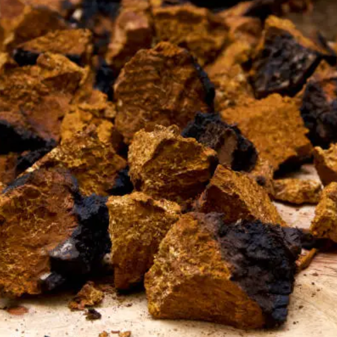 Chaga Mushroom Tincture — Double Extracted