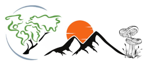 World of Wood Gems and Minerals