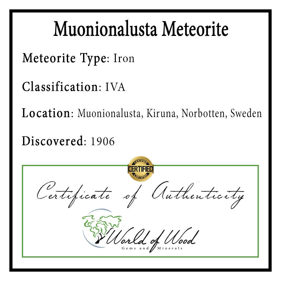 Muonionalusta Meteorite